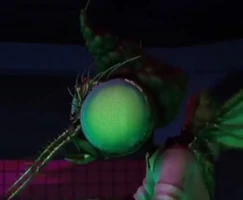 Fly head.jpg (33 KB)