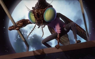 Image baxter fly.jpg (165 KB)