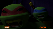 Leo and Raph controlled