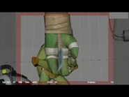 Primary Animation