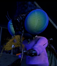 Fly eating coco.png (142 KB)