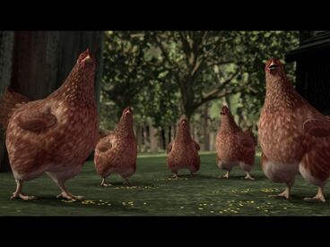 Chickens!.jpg