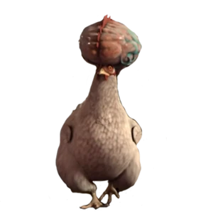 Dr Cluckingsworth MD Profile