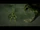 Creepweed/Gallery