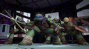 Turtles, attack!