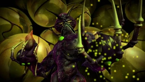 Do not order lord dregg