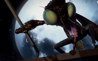 Fly on roof.png (144 KB)