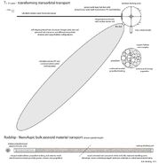 Solarian Transorbital Spacecraft