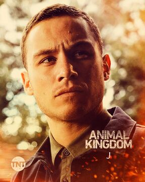 Animal kingdom season 4 episode 1 online free hot sale