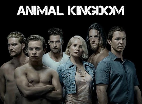 Animal Kingdom Season 1 [DVD PAL方式](Import)(品)