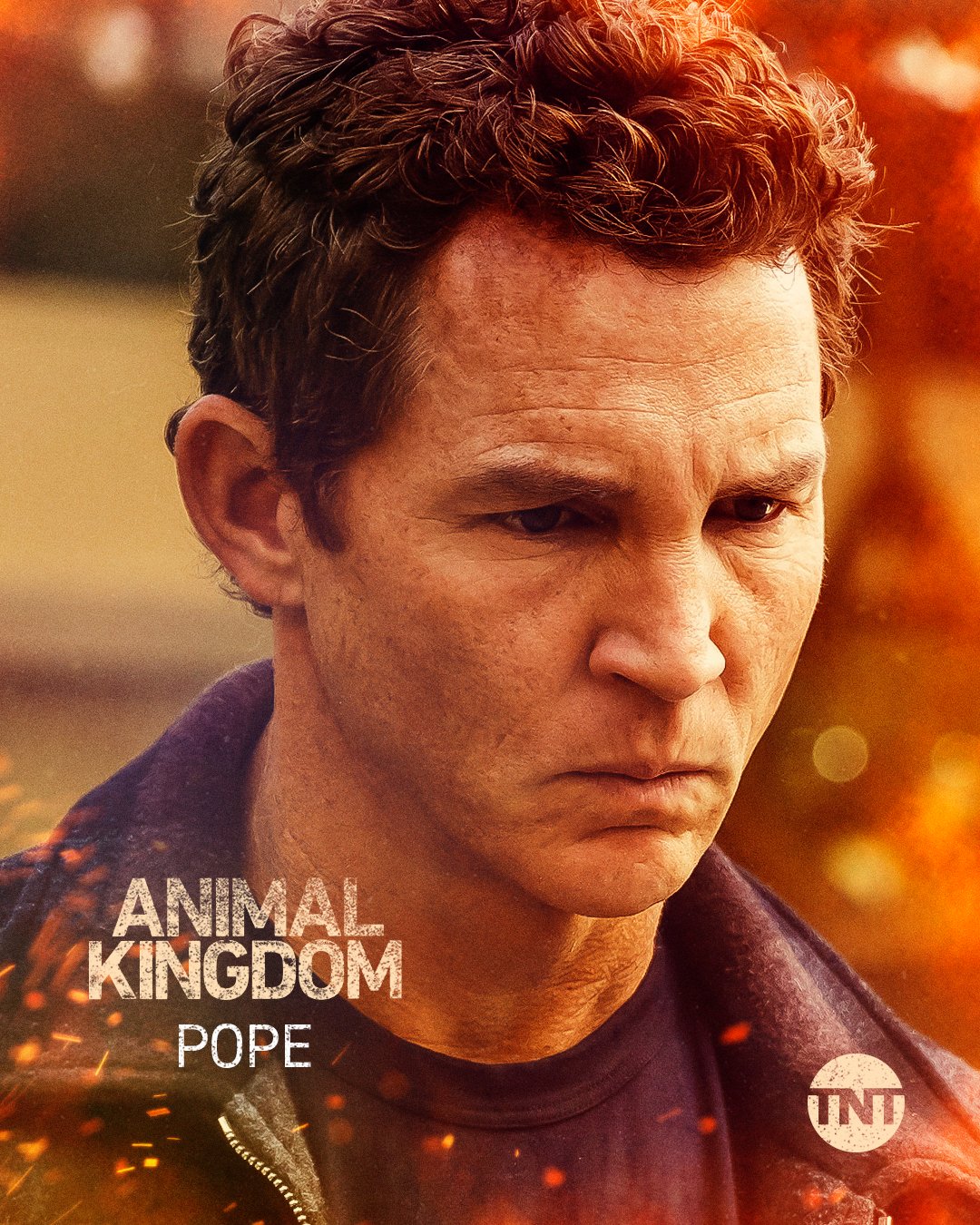 Top 194+ Is the movie animal kingdom on netflix - Merkantilaklubben.org