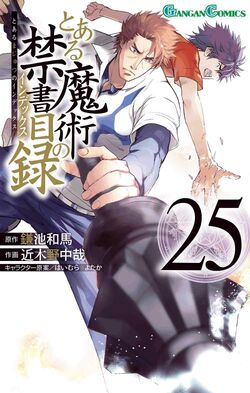 Toaru Majutsu no Index Manga v25 cover.jpg