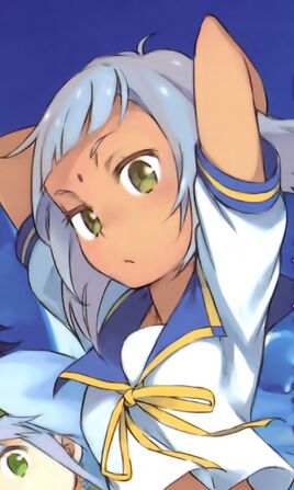 Novel