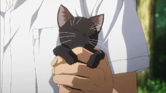 Touma takes the kitten into his care.