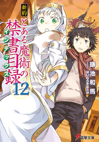 Shinyaku Toaru Majutsu no Index Light Novel v12 cover