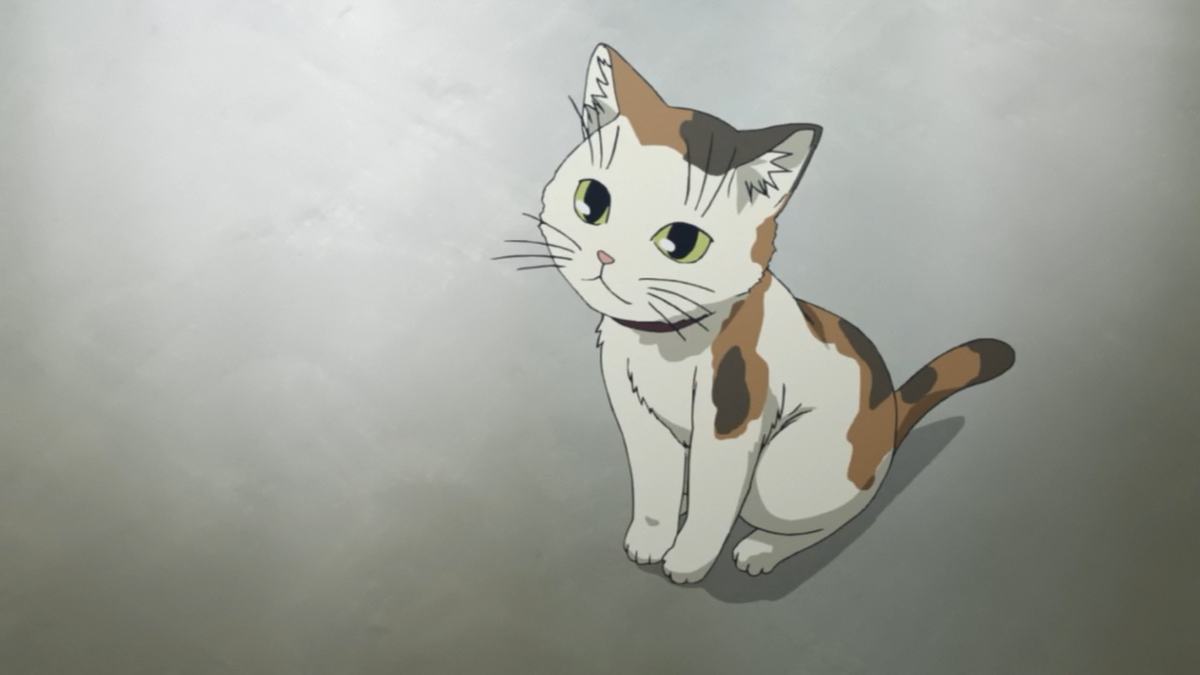 Sphynx | Toaru Majutsu no Index Wiki | Fandom
