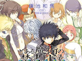 Toaru Majutsu no Index Light Novel Volume SS