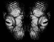 The Great Demon King