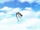 Mosquito Needle