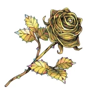 Back cover illustration