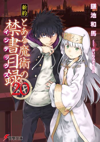 Shinyaku Toaru Majutsu no Index Light Novel v20 cover