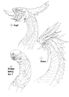 Dragon Designs 14-16 (Fuyukawa)