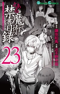 Toaru Majutsu no Index Manga v23 cover