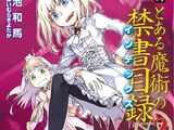 Shinyaku Toaru Majutsu no Index Light Novel Volume 02
