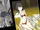 Kamisato Rescue Arc