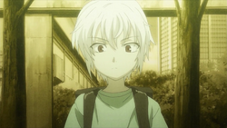 A young Accelerator.