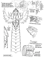 Detailed sketch on the dragon head "Angel".