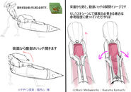 FIVE_Over Modelcase_"MENTAL_OUT"'s profile and abdomen close-up by Kasai Shin.