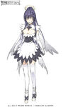 Design of Fallen-Angel Ero-maid+alpha costume by Kiyotaka Haimura for Volume 16