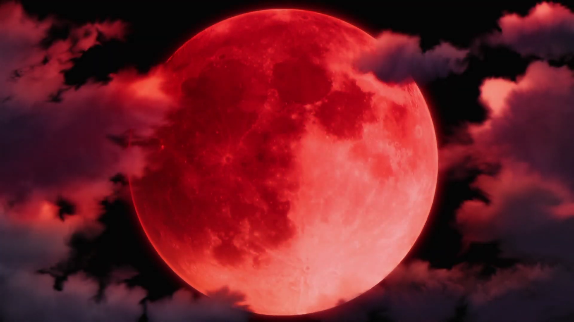 RED MOON(レッドムーン)