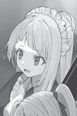 Light Novel