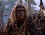 Xena 6.6