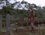 Xena 2.3