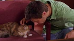 Psych season1-5