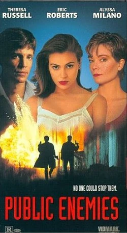 Public Enemies1996