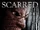 Scarred (2016)