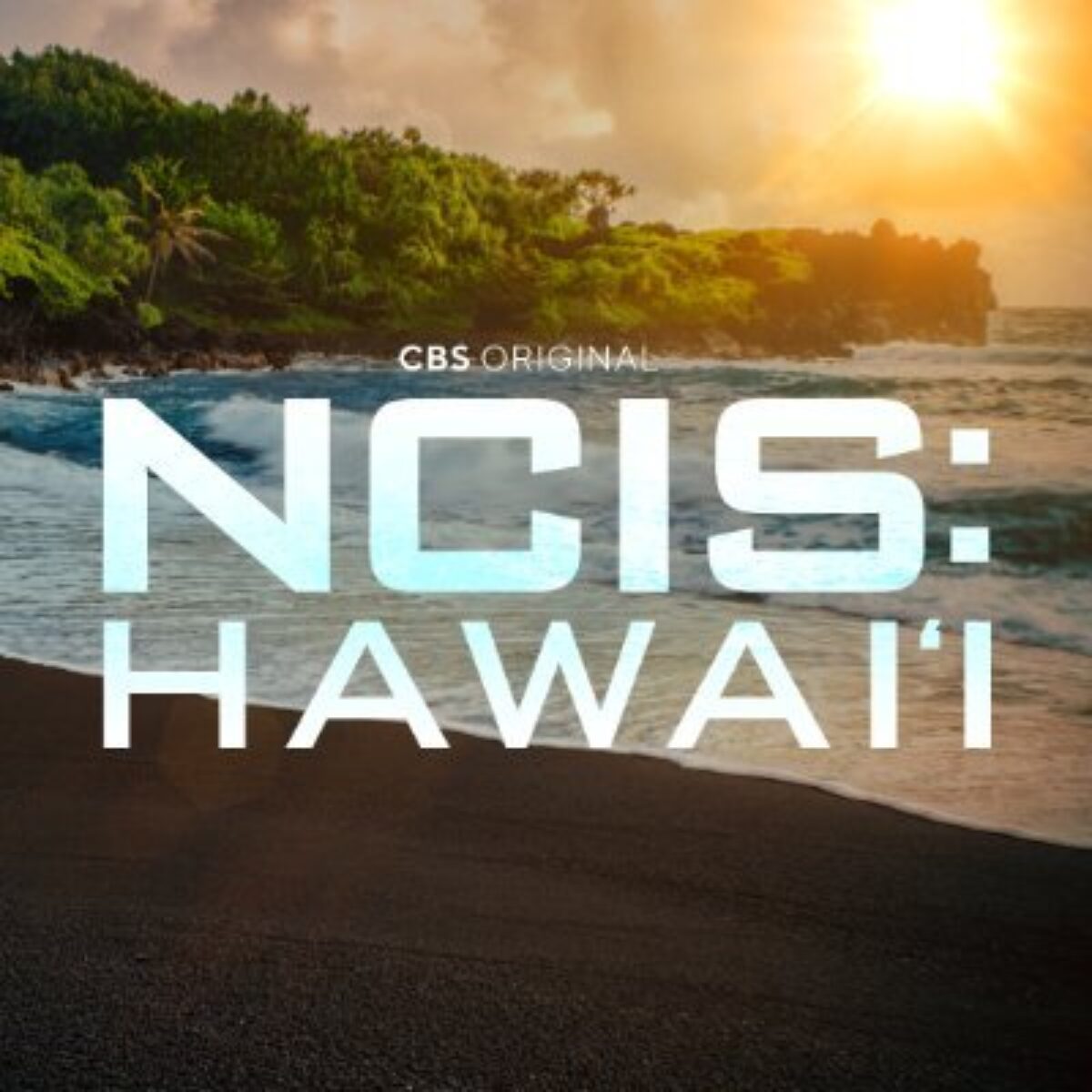 NCIS: Hawai'i (2021) | Movie and TV Wiki | Fandom