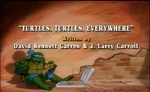 Turtles, Turtles, Everywhere-TMNT2k3