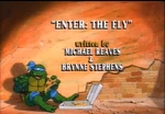 Enter The Fly-TMNT2k3