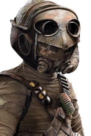 Teedo