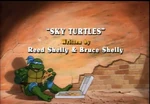 Sky Turtles-TMNT2k3