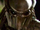 Falconer Predator (Predator)