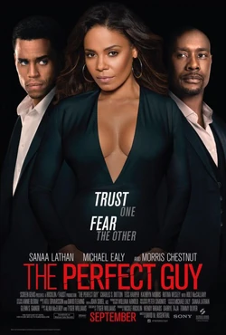 The Perfect Guy2015