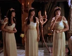Xena 3.9