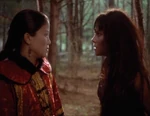 Xena 3.6