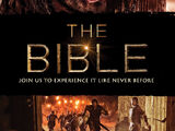 Bible, The (2013)